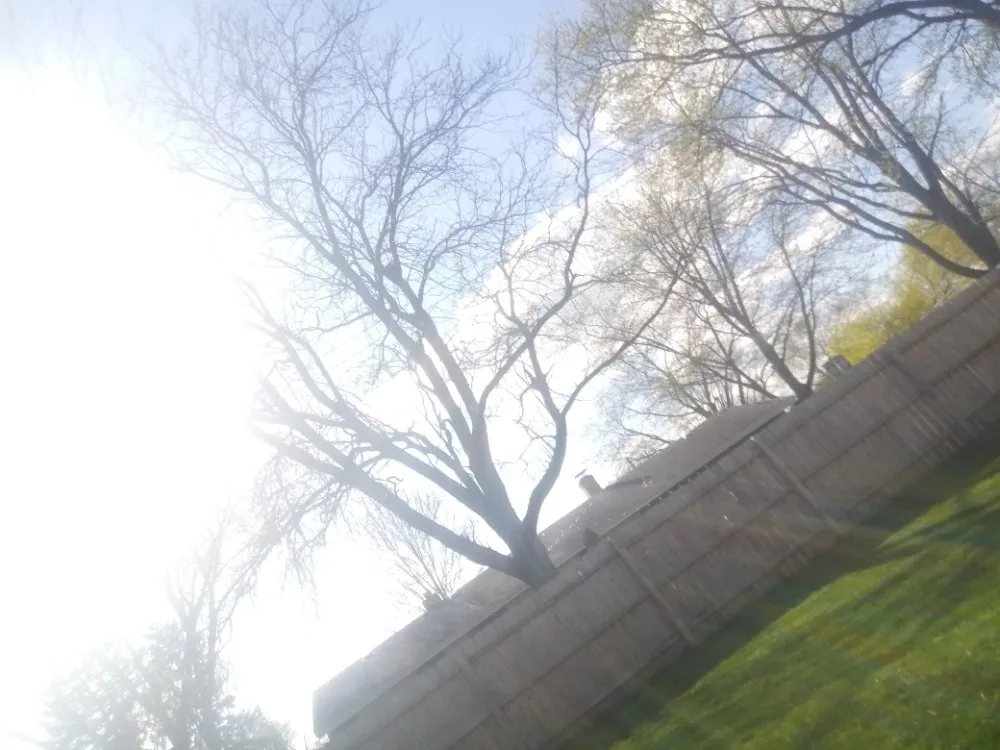 Trusted landscaping services for homes across Cullom, IL - Botany Boys Landscaping