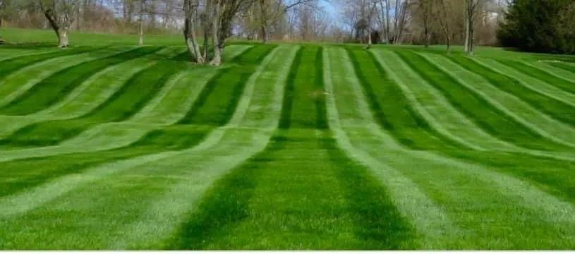 Local outdoor landscaping in Joliet, IL by Botellos & contractor