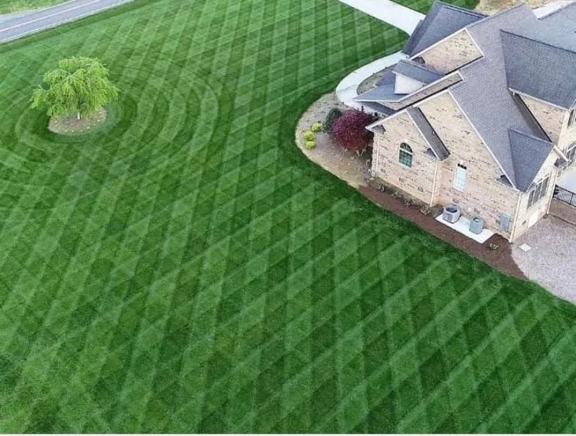 Affordable landscaping services in Joliet, IL by Botellos & contractor