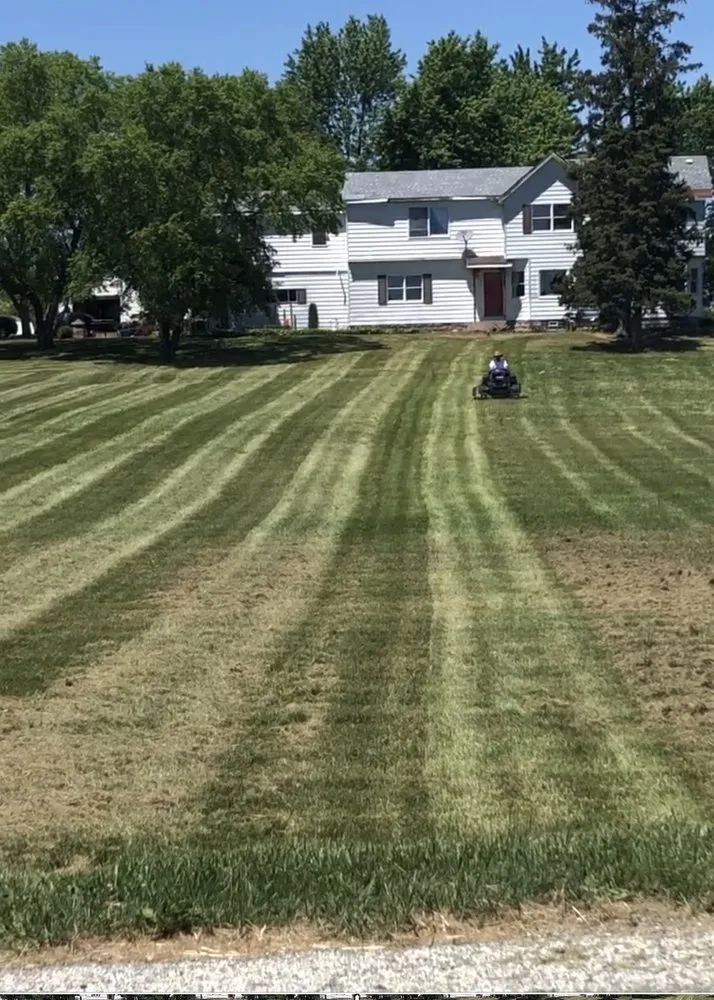 Top-rated yard cleanup service in Joliet, IL by Botellos & contractor