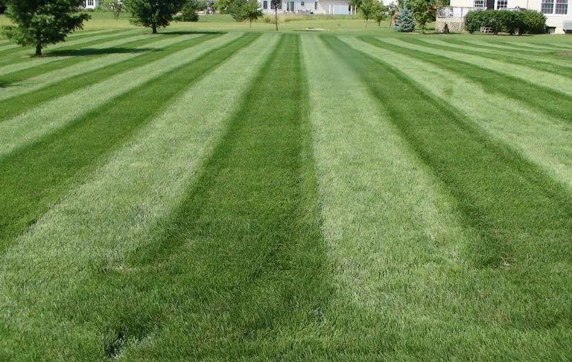 Expert outdoor landscaping for year-round maintenance in Joliet, IL by Botellos & contractor