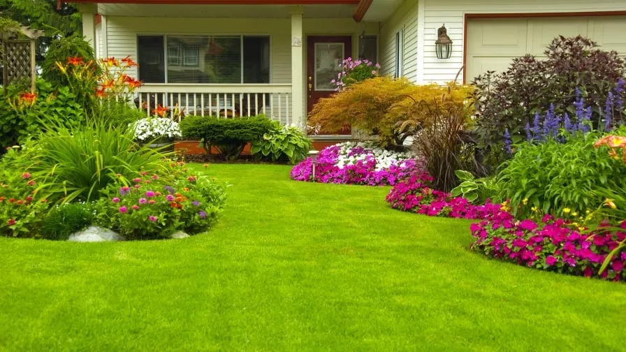 Expert lawn care service in Waltham, MA - Boteo Landscaping