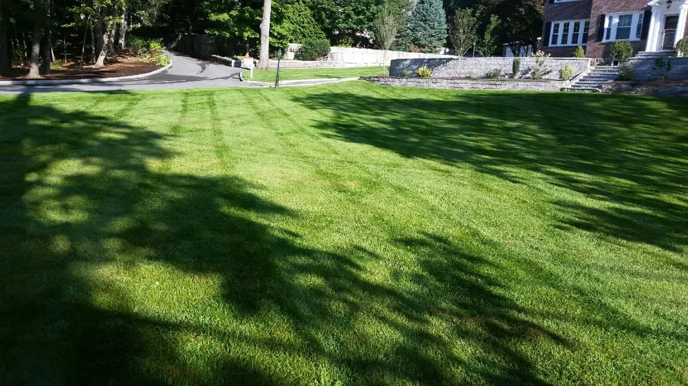 Top-rated lawn care service in Waltham, MA - Boteo Landscaping