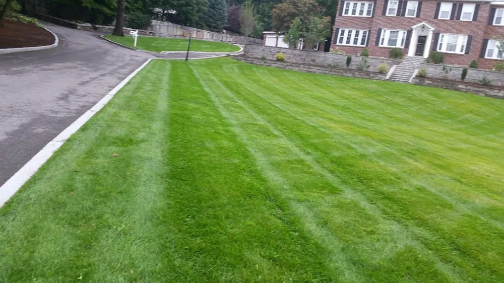 Top-rated yard cleanup service for year-round maintenance across Waltham, MA - Boteo Landscaping