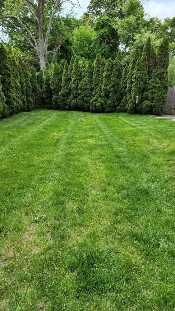 Top-rated landscaping services in Ronkonkoma, NY - Boteo’s Landscaping