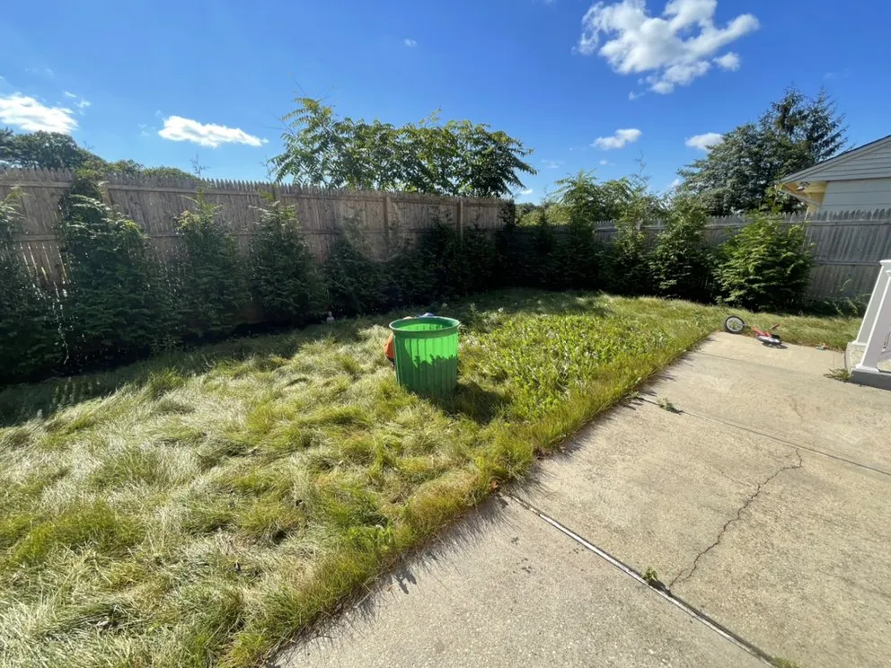 Affordable lawn care service experts serving Ronkonkoma, NY - Boteo’s Landscaping