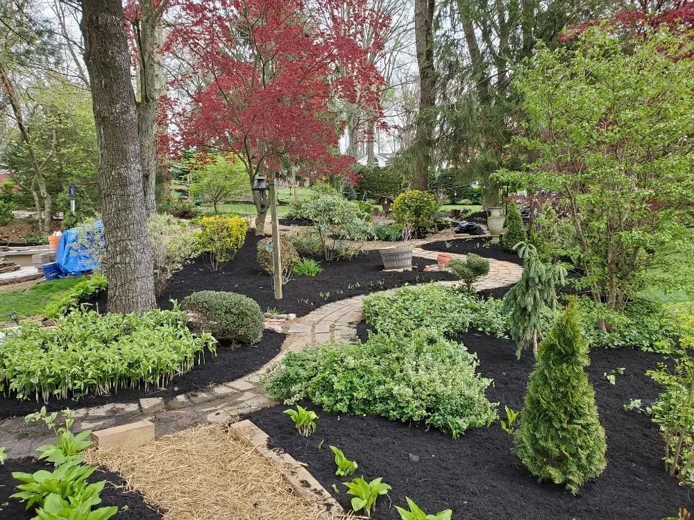 Affordable yard cleanup service in York, PA - Botti's Landscaping