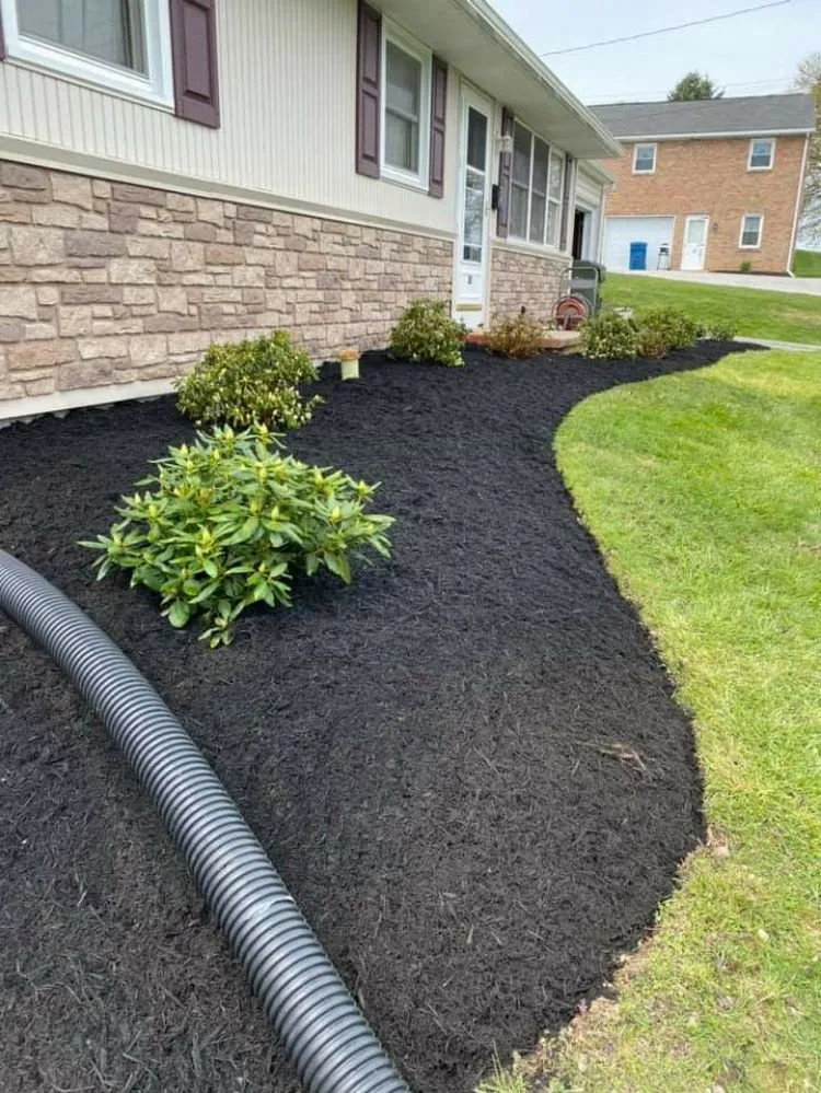 Expert yard cleanup service for residential properties in York, PA by Botti's Landscaping