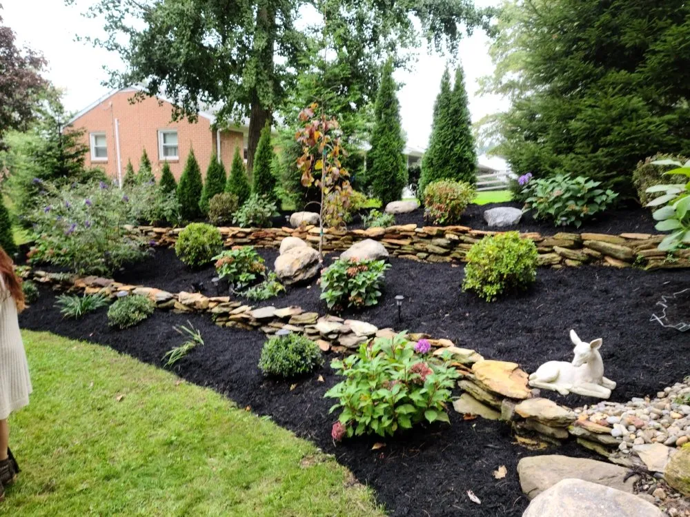 Trusted lawn care service in York, PA by Botti's Landscaping
