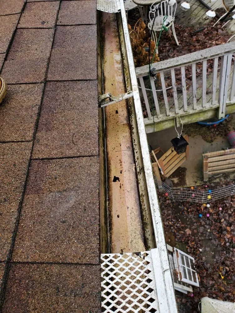 Reliable yard cleanup service in Pittsburgh, PA - Bottom-Dollar Landscape