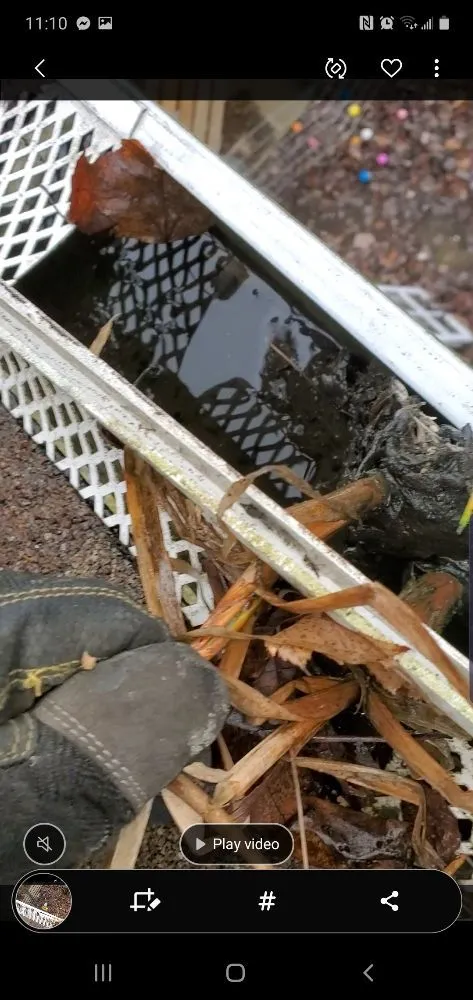 Professional landscape design in Pittsburgh, PA - Bottom-Dollar Landscape