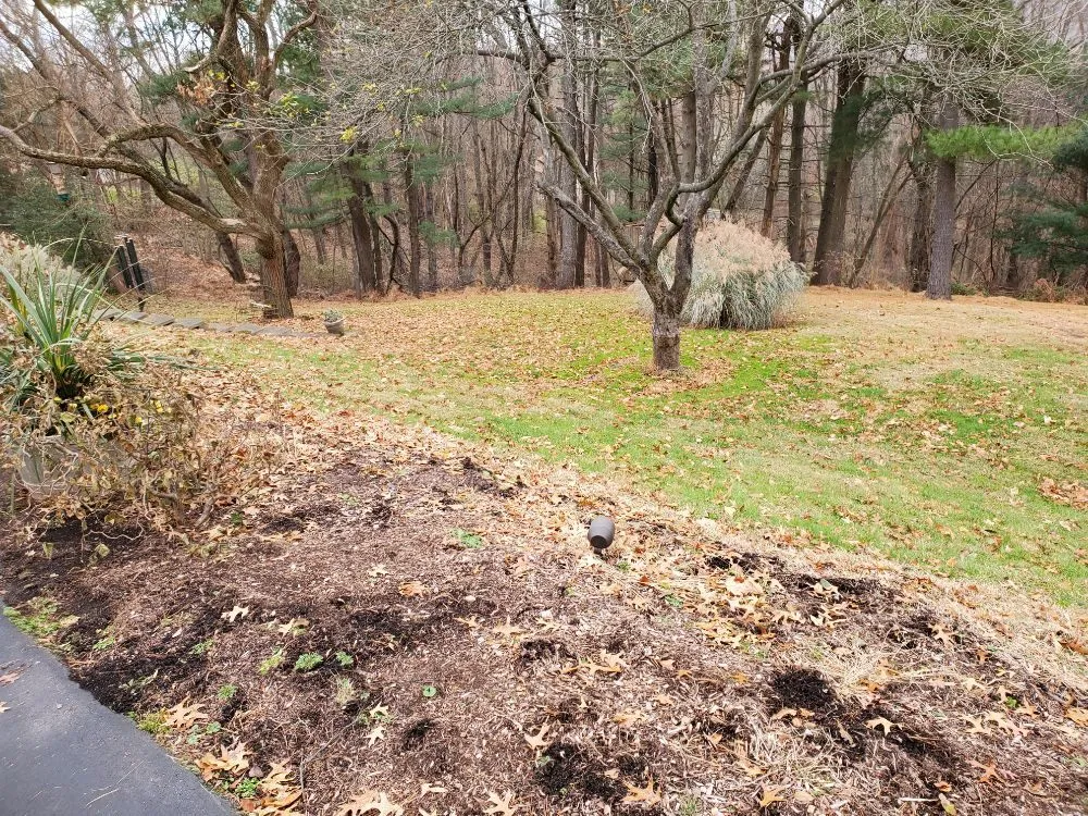 Affordable landscape design in Pittsburgh, PA by Bottom-Dollar Landscape