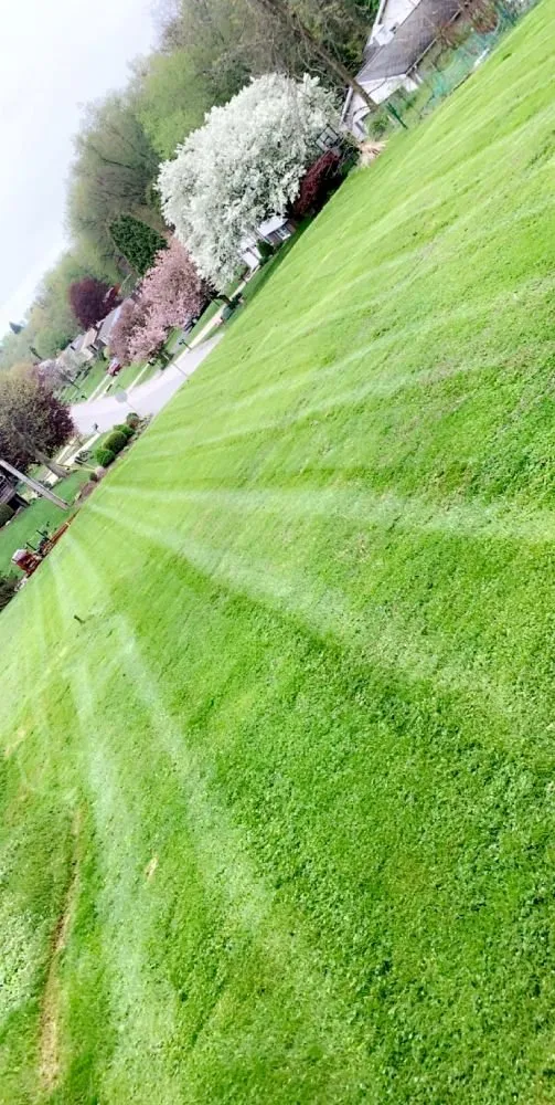 Professional landscaping services for beautiful yards in Pittsburgh, PA by Bottom-Dollar Landscape