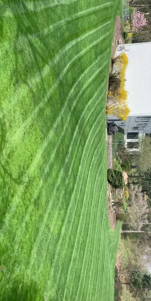 Expert garden landscaping for year-round maintenance in Pittsburgh, PA by Bottom-Dollar Landscape