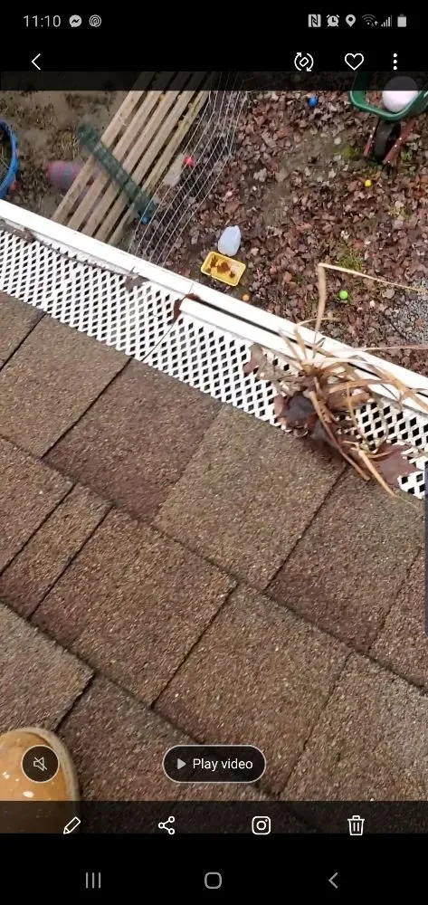 Custom lawn mowing service for beautiful yards in Pittsburgh, PA by Bottom-Dollar Landscape