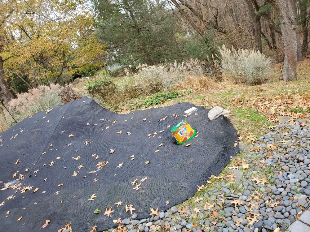 Affordable lawn care service in Pittsburgh, PA by Bottom-Dollar Landscape