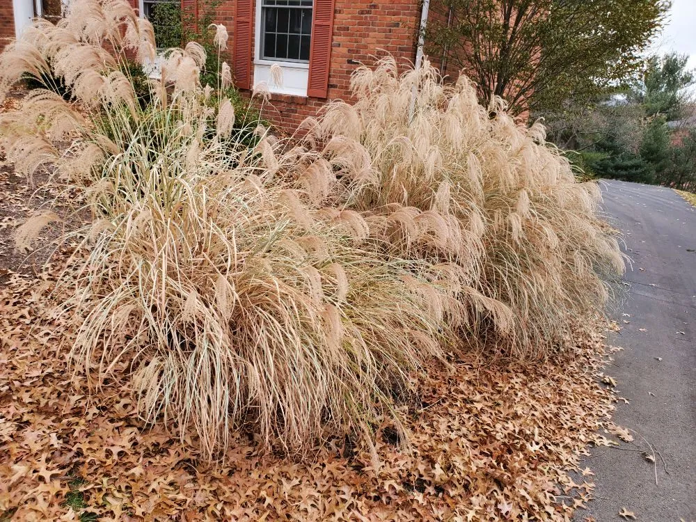 Top-rated garden landscaping experts serving Pittsburgh, PA - Bottom-Dollar Landscape