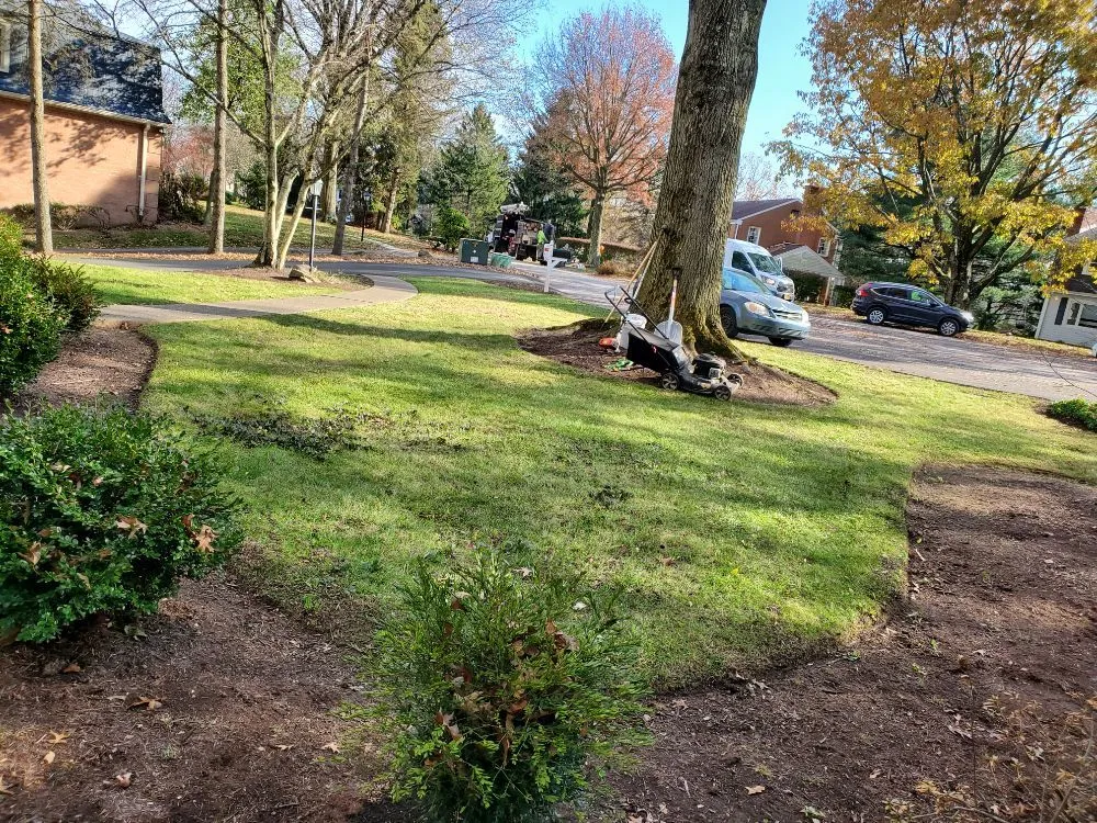 Affordable residential landscaping experts serving Pittsburgh, PA - Bottom-Dollar Landscape