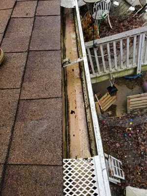 Bottom-Dollar Landscape Logo