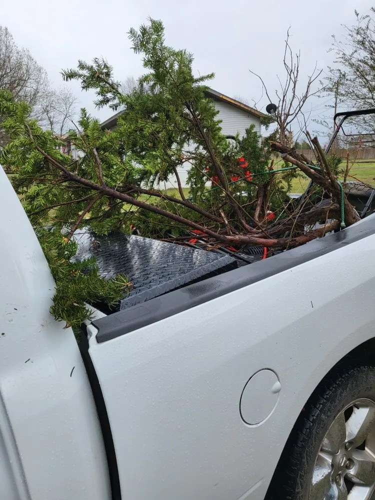 Local yard cleanup service for year-round maintenance across Flippin, AR - Bottom Dollar Lawn Care