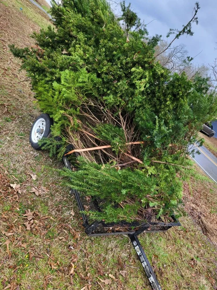 Reliable landscape design near you in Flippin, AR by Bottom Dollar Lawn Care