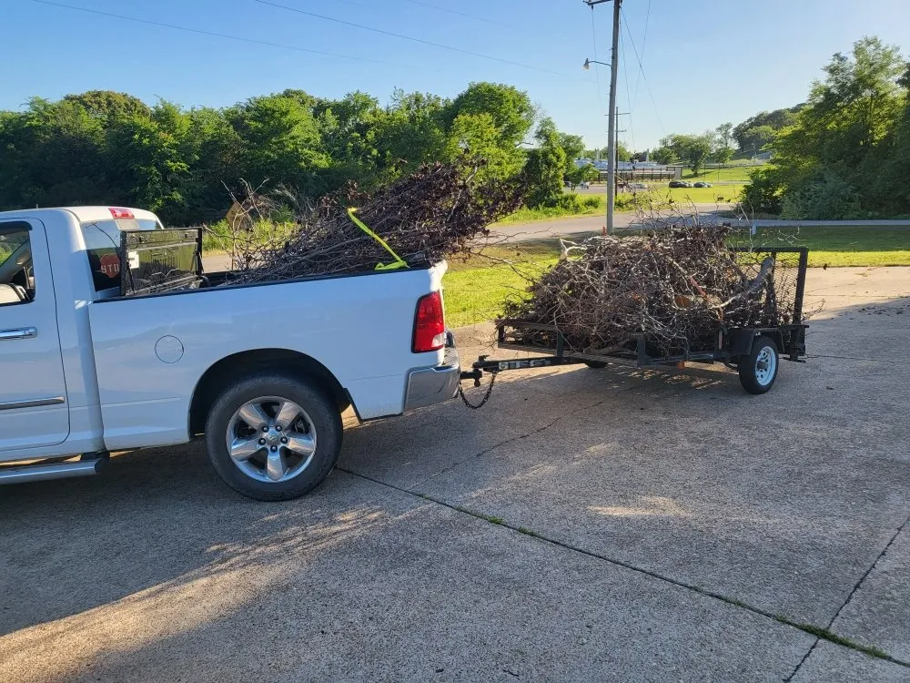 Top-rated landscape design experts serving Flippin, AR - Bottom Dollar Lawn Care