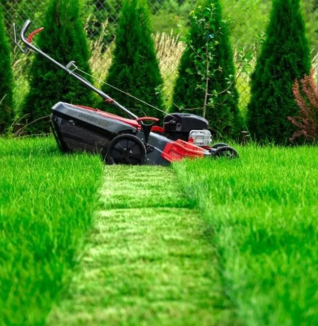 Local landscaping services experts serving Flippin, AR - Bottom Dollar Lawn Care