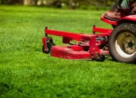 Trusted lawn care service in Flippin, AR by Bottom Dollar Lawn Care