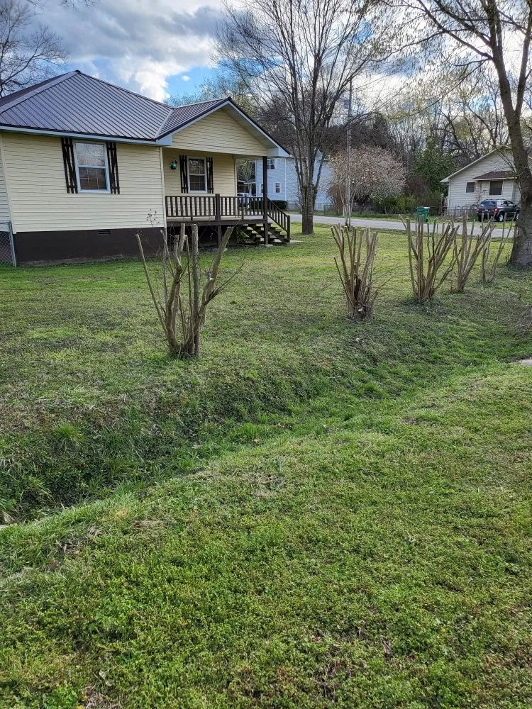 Trusted lawn care service experts serving Flippin, AR - Bottom Dollar Lawn Care