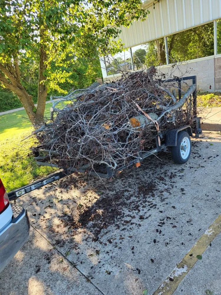 Top-rated lawn mowing service in Flippin, AR by Bottom Dollar Lawn Care