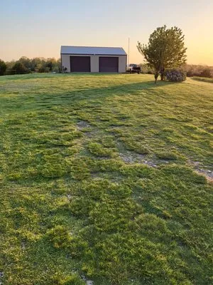 Bottom Dollar Lawn Care