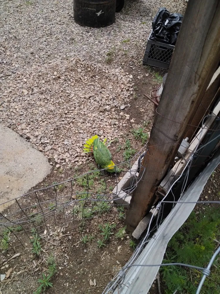 Expert landscaping services for homes across Rawlins, WY - Boudreau Services