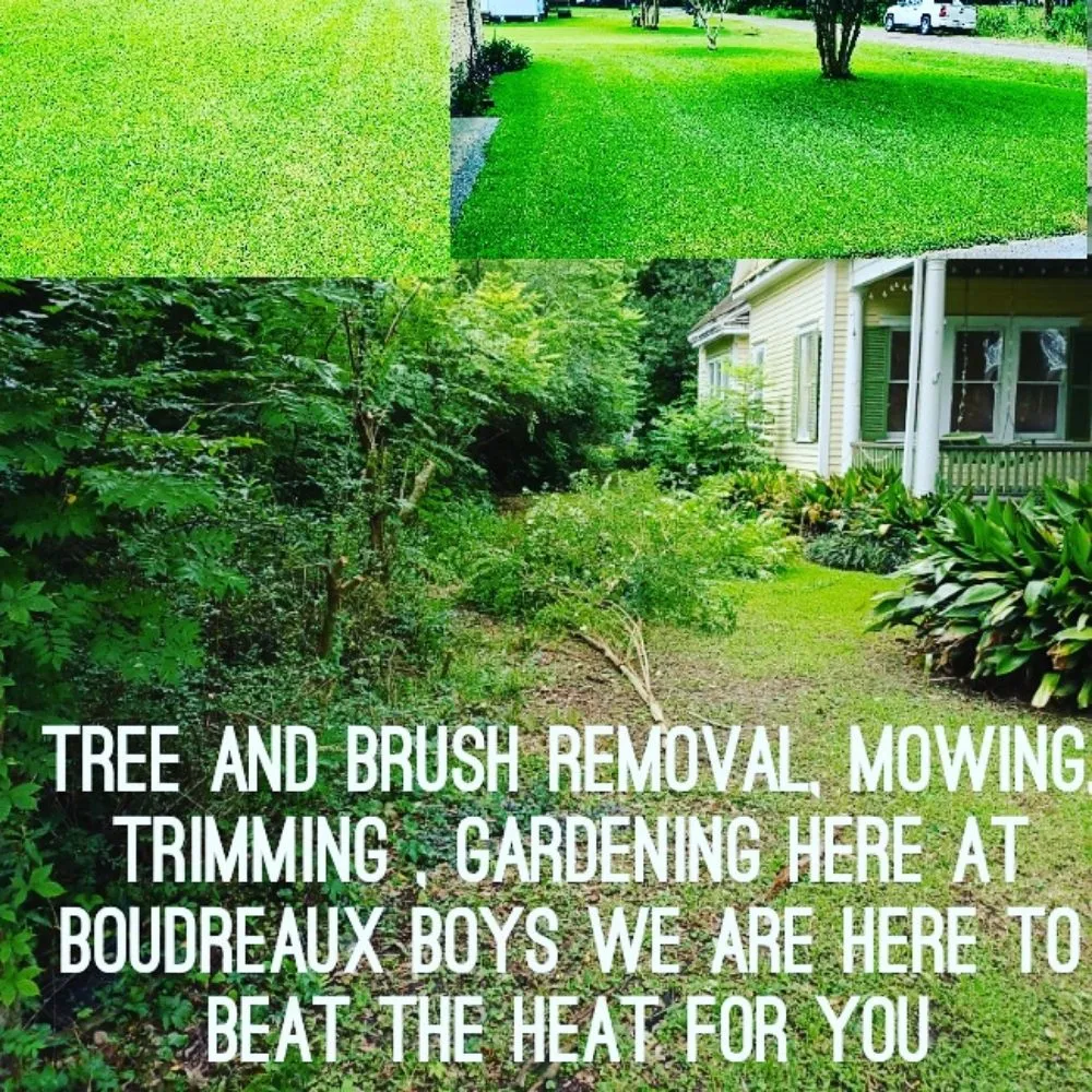 Expert yard cleanup service for year-round maintenance in Sunset, LA by Boudreaux boys landscape