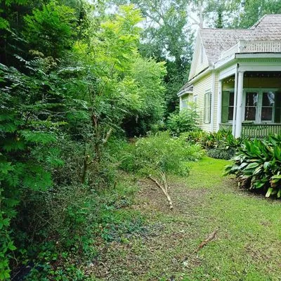 Boudreaux boys landscape