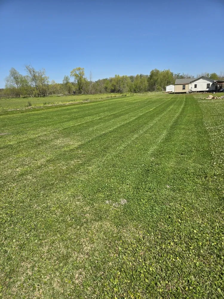 Expert yard cleanup service in Houma, LA - Boudreaux's Lawn Service