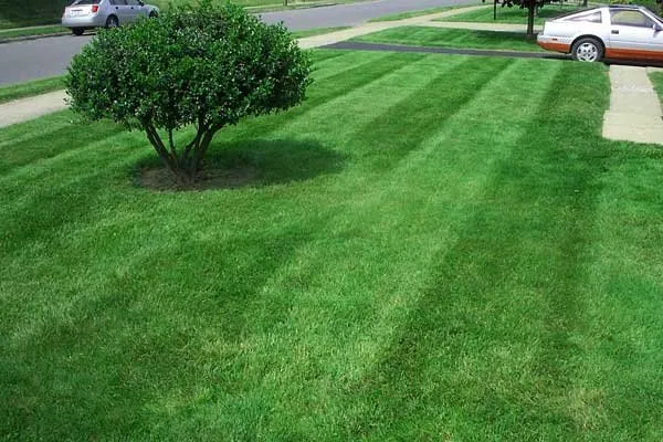 Expert landscape design with custom design across New Castle, PA - Boughter's Lawn Care Services