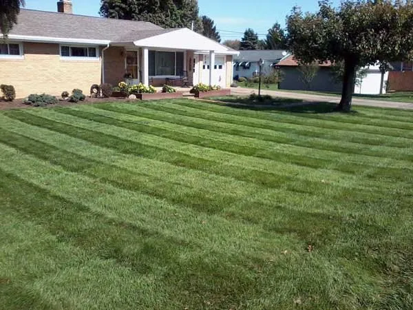 Top-rated outdoor landscaping in New Castle, PA by Boughter's Lawn Care Services