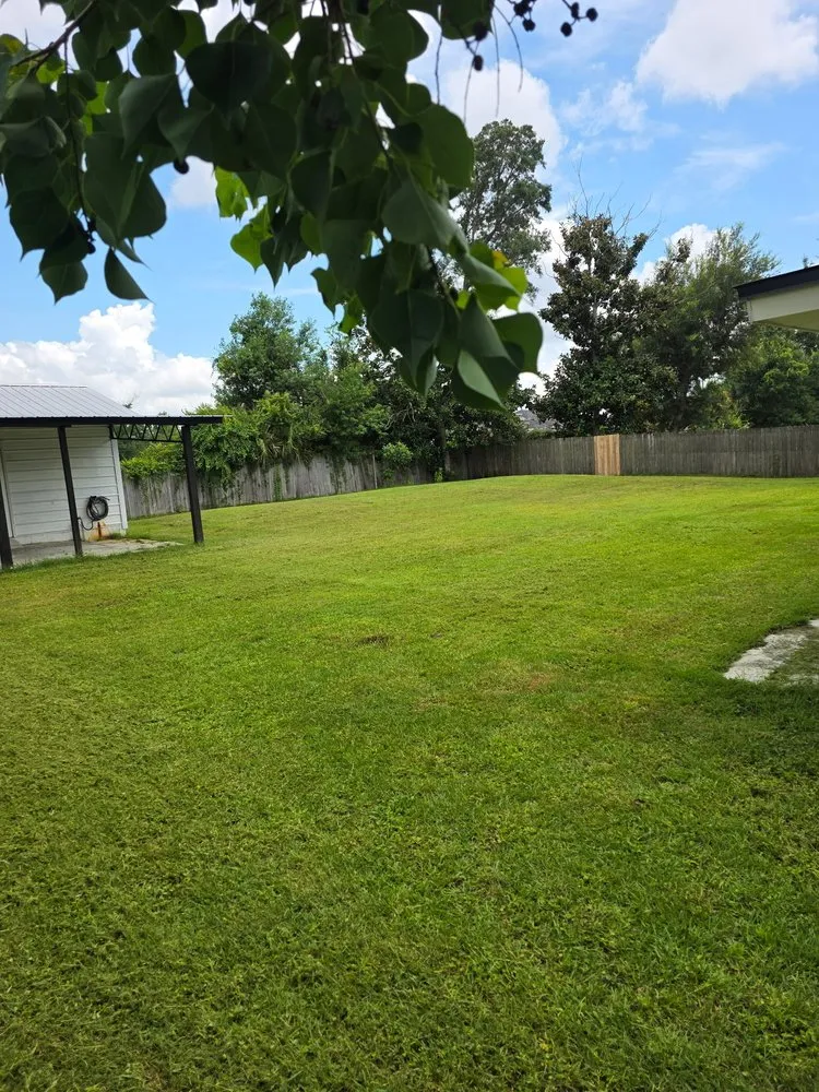 Local yard cleanup service for outdoor upgrades in Panama City, FL by Boujee Lawnscaping