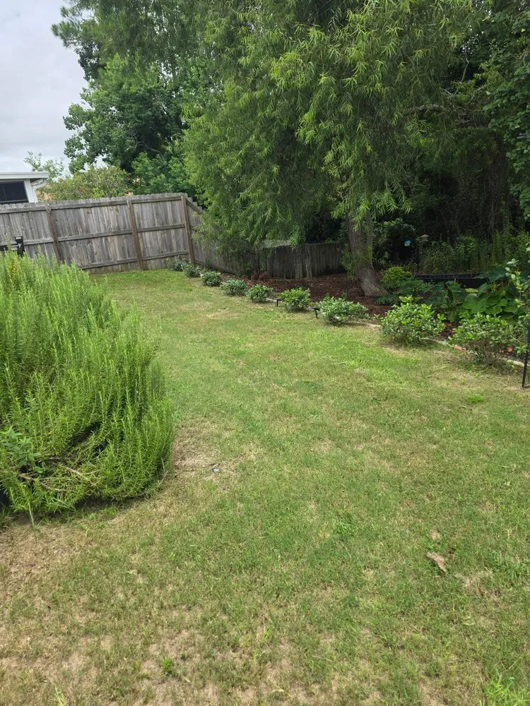 Professional garden landscaping near you across Panama City, FL - Boujee Lawnscaping