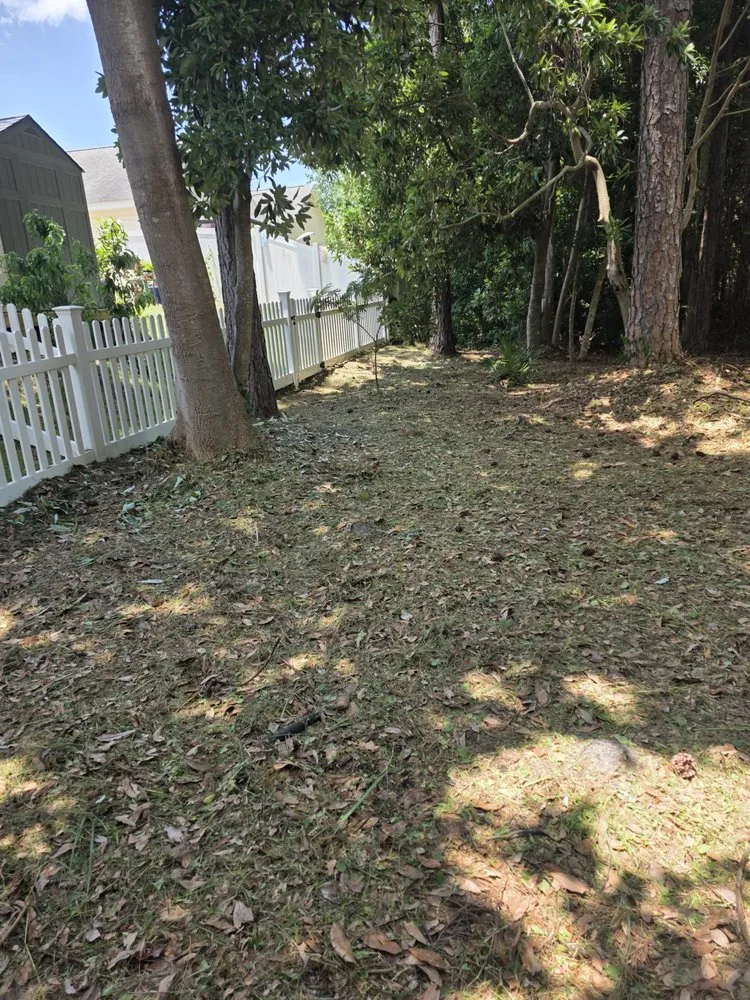 Top-rated yard maintenance for residential properties in Panama City, FL by Boujee Lawnscaping