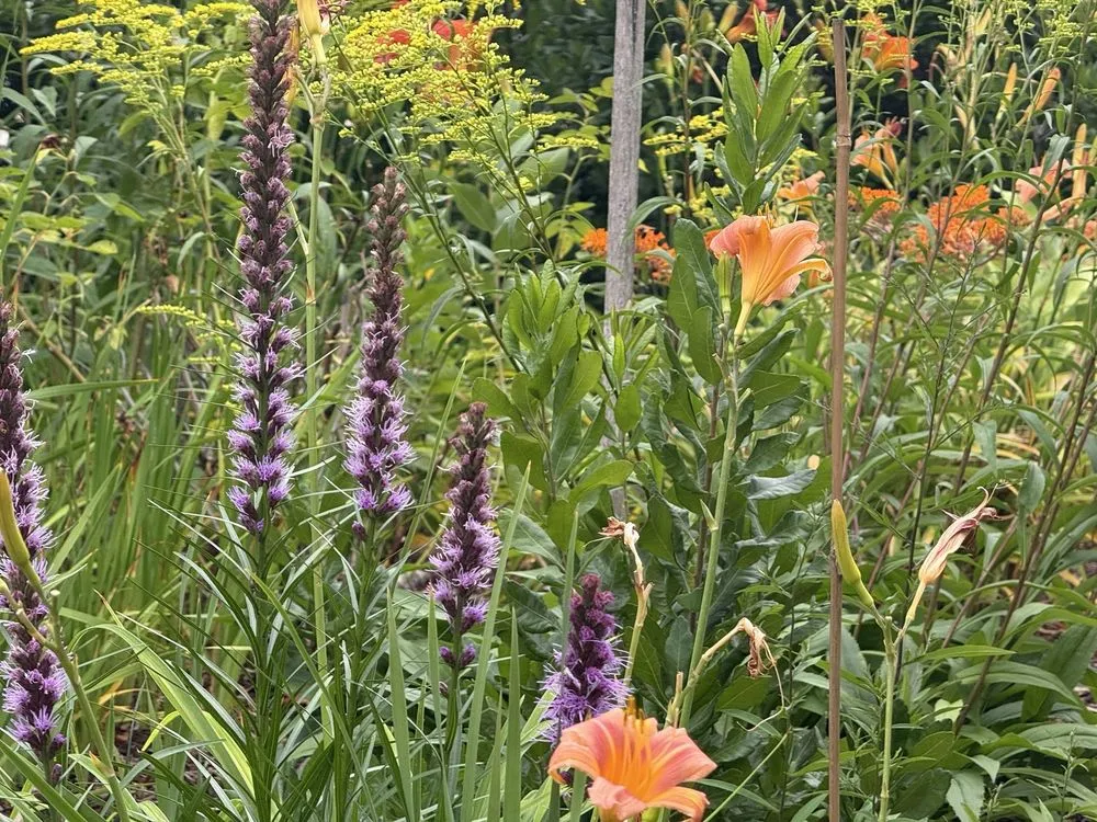 Trusted garden landscaping near you in Wells, ME by Boulay Landscaping