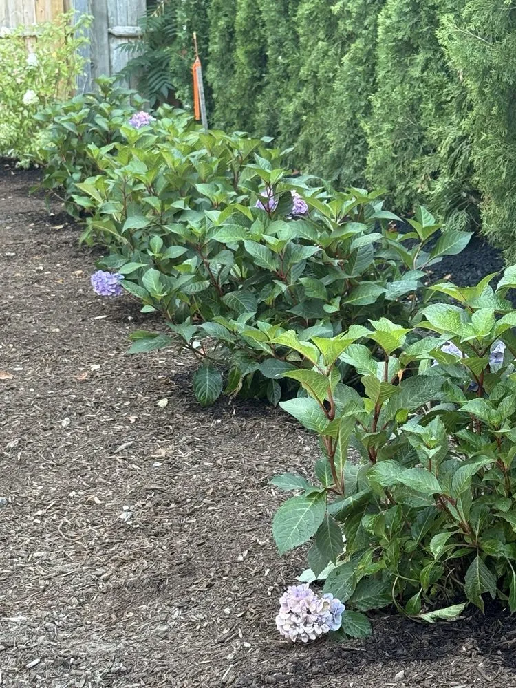 Affordable landscaping services in Wells, ME by Boulay Landscaping