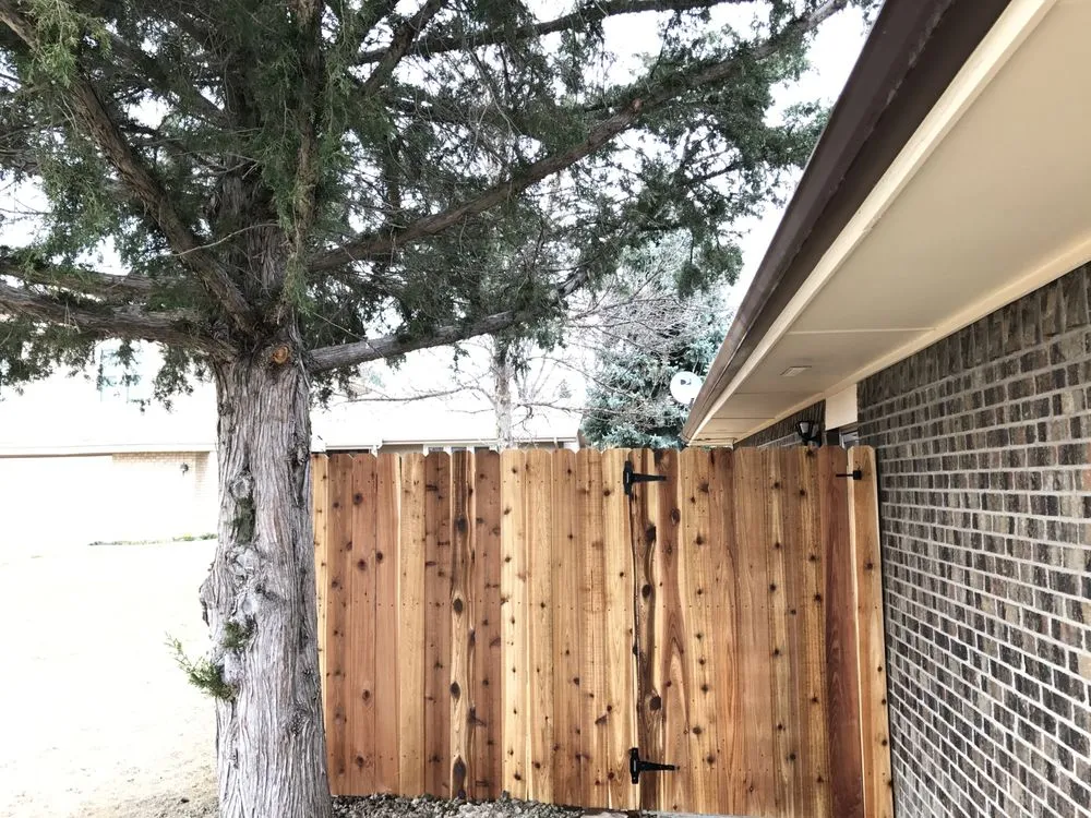 Trusted yard maintenance in Longmont, CO - Boulder County Stump and Snow