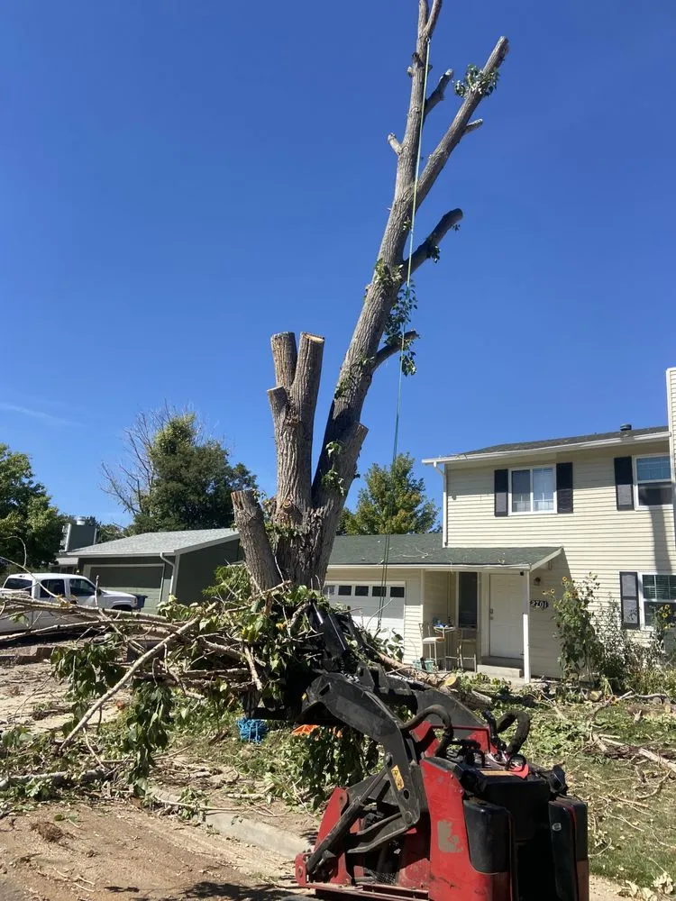 Professional residential landscaping for year-round maintenance in Longmont, CO by Boulder County Stump and Snow