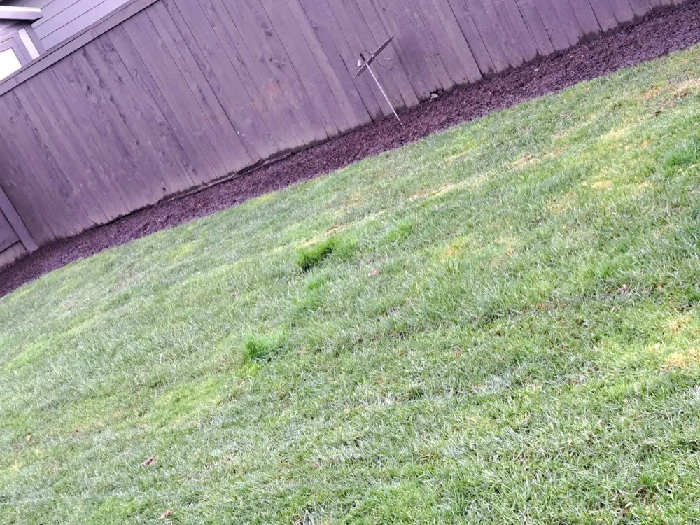 Local lawn care service near you in Vancouver, WA by Boulder Falls Landscape