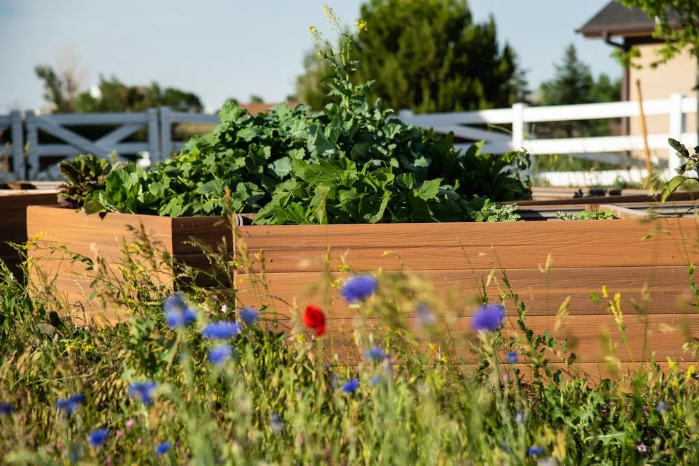 Custom residential landscaping in Boulder County, CO - Boulder Landscape and Design