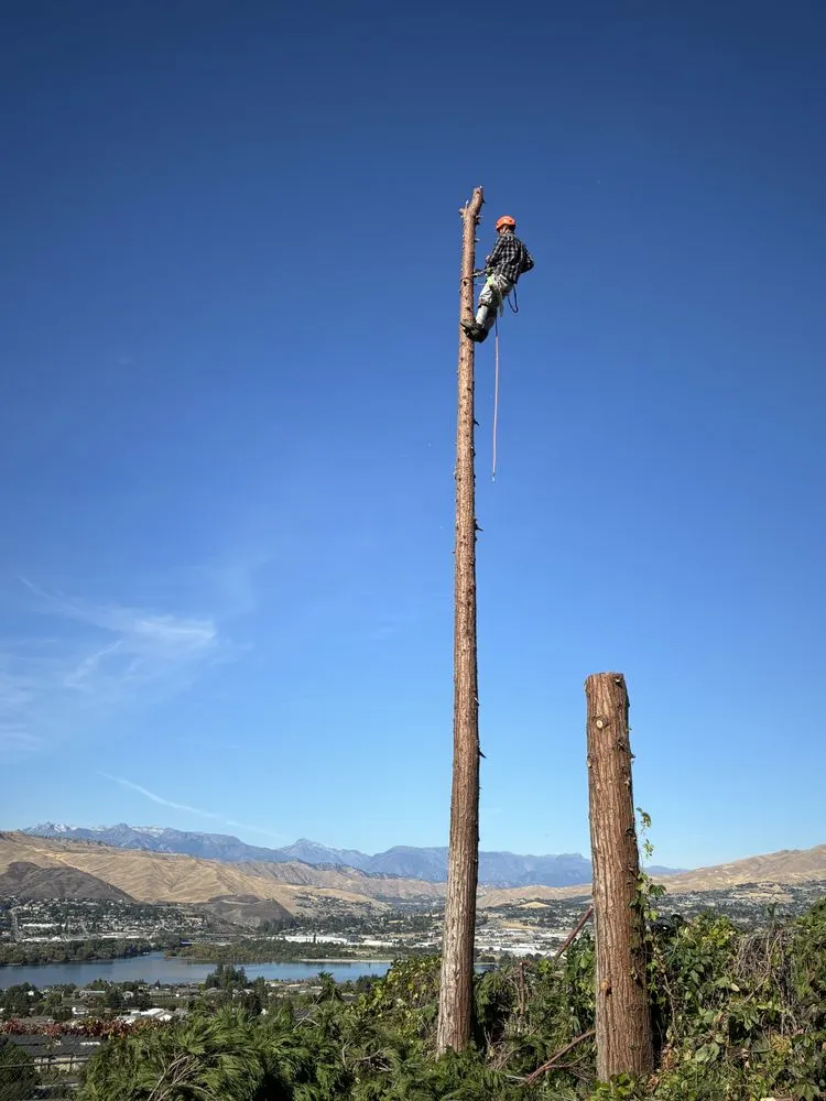 Top-rated landscaping services for beautiful yards across Wenatchee, WA - Boulder Landscaping