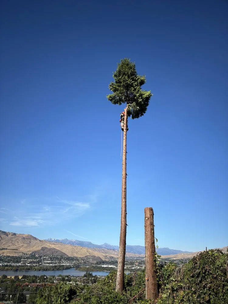 Top-rated landscape installation in Wenatchee, WA by Boulder Landscaping
