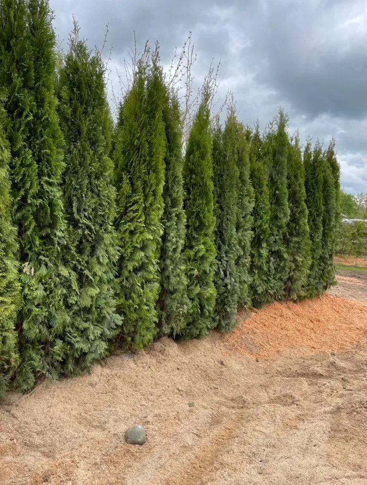 Top-rated landscape installation for homes in Wenatchee, WA by Boulder Landscaping