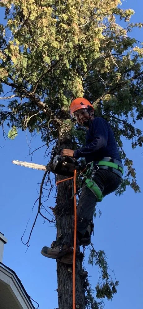 Professional landscaping services experts serving Wenatchee, WA - Boulder Landscaping